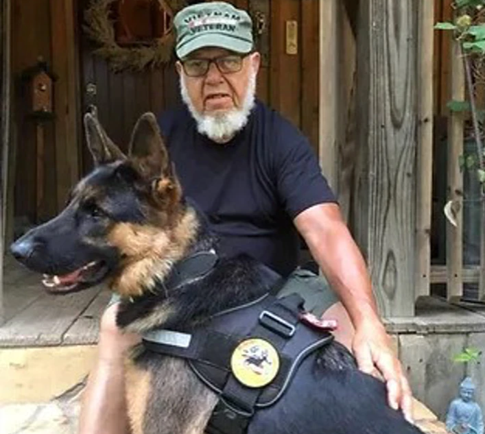 Working Dogs for Vets Charity Choices